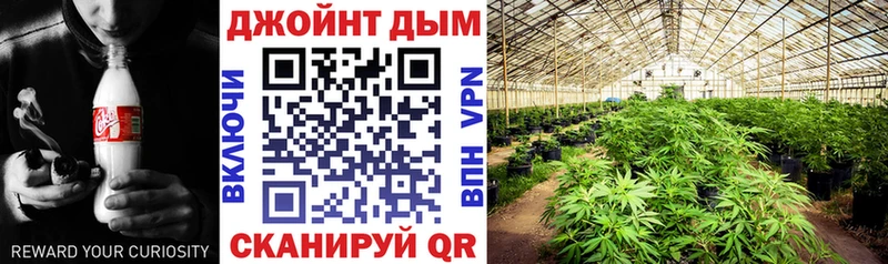 Как найти наркотики Кяхта Alpha PVP kraken как войти Мефедрон Бошки Шишки COCAIN Галлюциногенные грибы