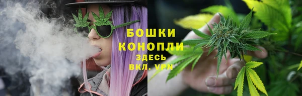 ПСИЛОЦИБИНОВЫЕ ГРИБЫ Балахна