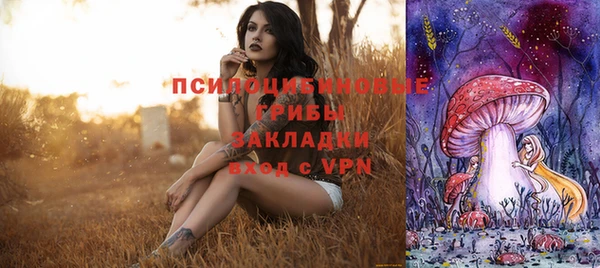 стаф Баксан