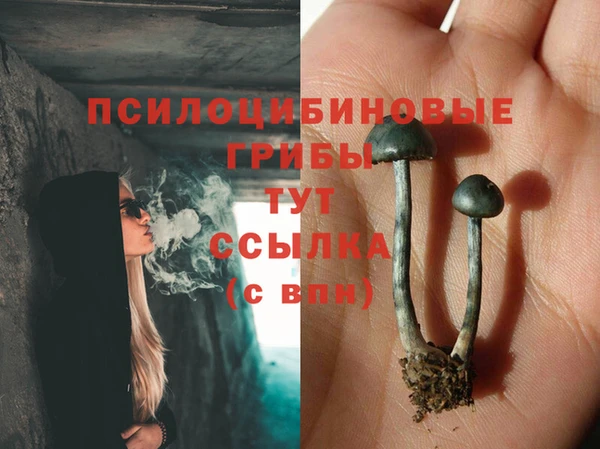ПСИЛОЦИБИНОВЫЕ ГРИБЫ Балахна