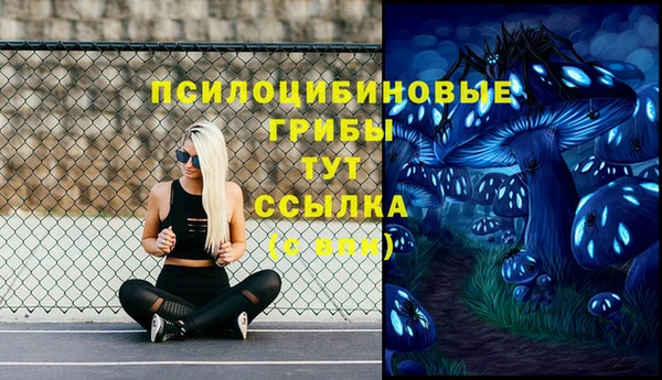 стаф Баксан