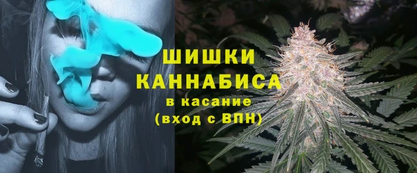 стаф Баксан