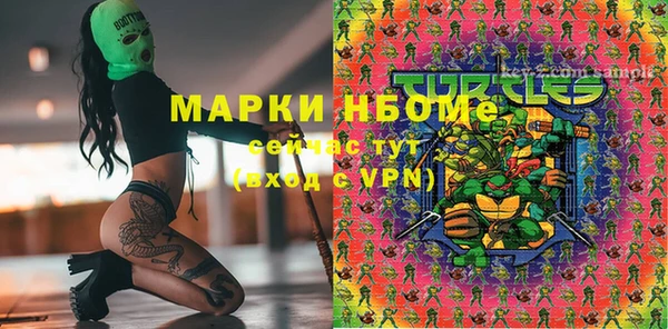 стаф Баксан