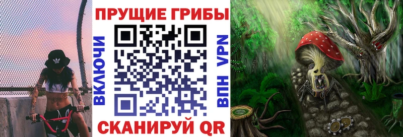 Галлюциногенные грибы Psilocybine cubensis даркнет сайт Кяхта